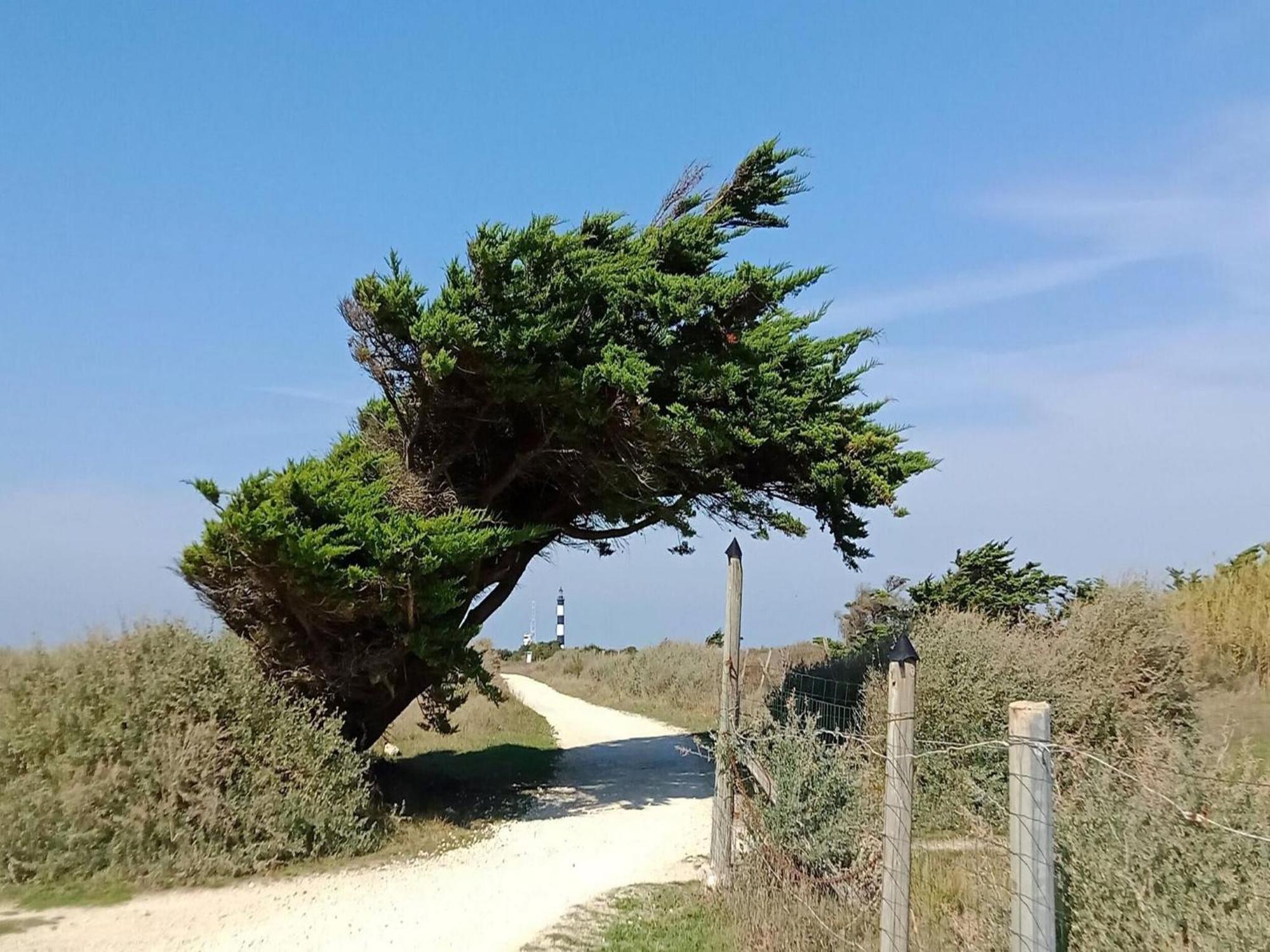 Les Hameaux Des Sables Vignie Saint Georges D Ol Ron Holiday Home Not Detached Exteriér fotografie